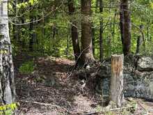 1703 MATAWATCHAN ROAD N | Greater Madawaska Ontario | Slide Image Forty