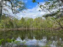 LOT 4 SANDY SHORES TRAIL | Madawaska Valley Ontario | Slide Image One