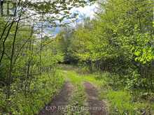 LOT 4 SANDY SHORES TRAIL | Madawaska Valley Ontario | Slide Image Six