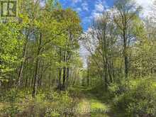 LOT 4 SANDY SHORES TRAIL | Madawaska Valley Ontario | Slide Image Seven