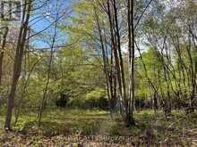 LOT 4 SANDY SHORES TRAIL | Madawaska Valley Ontario | Slide Image Nine