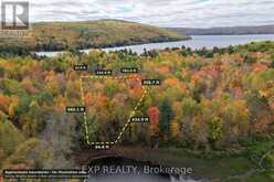 LOT 4 SANDY SHORES TRAIL | Madawaska Valley Ontario | Slide Image Two