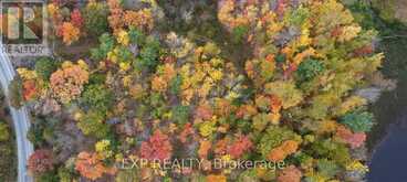 LOT 4 SANDY SHORES TRAIL | Madawaska Valley Ontario | Slide Image Three
