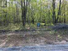 LOT 7 CASSON TRAIL | Madawaska Valley Ontario | Slide Image Two