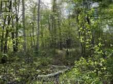 LOT 7 CASSON TRAIL | Madawaska Valley Ontario | Slide Image Four
