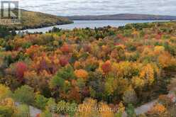 LOT 7 CASSON TRAIL | Madawaska Valley Ontario | Slide Image One