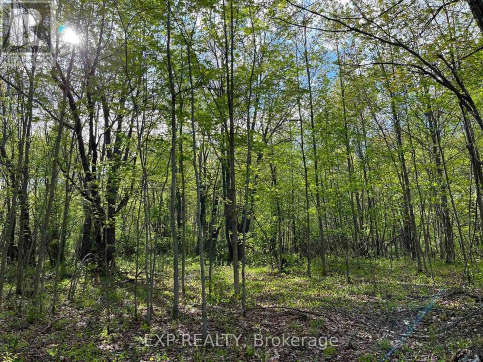 LOT 7 CASSON TRAIL, Madawaska Valley, Ontario K0J 1B0