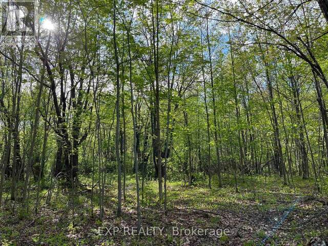 LOT 7 CASSON TRAIL Madawaska Valley Ontario, K0J 1B0 - Vacant Land For Sale