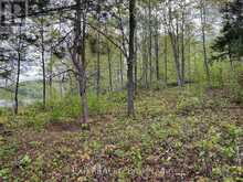 LOT 9 CASSON TRAIL | Madawaska Valley Ontario | Slide Image Three
