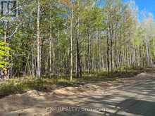 LOT 9 CASSON TRAIL | Madawaska Valley Ontario | Slide Image Five