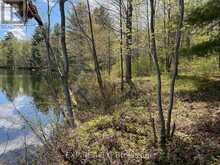 LOT 15 SANDY SHORES TRAIL | Madawaska Valley Ontario | Slide Image Seven