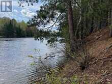 LOT 30 SANDY SHORES TRAIL | Madawaska Valley Ontario | Slide Image Five
