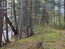 LOT 30 SANDY SHORES TRAIL | Madawaska Valley Ontario | Slide Image Six