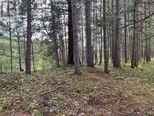 LOT 30 SANDY SHORES TRAIL | Madawaska Valley Ontario | Slide Image Seven