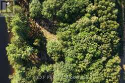 LOT 37 SANDY SHORES TRAIL | Madawaska Valley Ontario | Slide Image Four