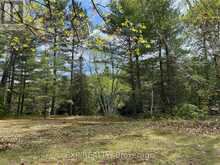 LOT 37 SANDY SHORES TRAIL | Madawaska Valley Ontario | Slide Image Nine
