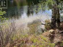 LOT 37 SANDY SHORES TRAIL | Madawaska Valley Ontario | Slide Image Six
