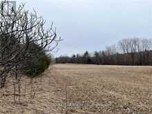 0 GRANT SETTLEMENT ROAD | Whitewater Region Ontario | Slide Image Ten