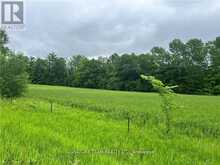 0 GRANT SETTLEMENT ROAD | Whitewater Region Ontario | Slide Image Two