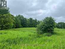 0 GRANT SETTLEMENT ROAD | Whitewater Region Ontario | Slide Image Three