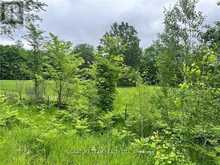 0 GRANT SETTLEMENT ROAD | Whitewater Region Ontario | Slide Image Four