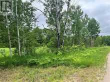 0 GRANT SETTLEMENT ROAD | Whitewater Region Ontario | Slide Image Five