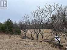 0 GRANT SETTLEMENT ROAD | Whitewater Region Ontario | Slide Image Seven