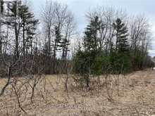 0 GRANT SETTLEMENT ROAD | Whitewater Region Ontario | Slide Image Eight