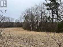 0 GRANT SETTLEMENT ROAD | Whitewater Region Ontario | Slide Image Nine