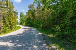 01 MINK LAKE ROAD | Eganville Ontario | Slide Image Four