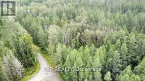LOT B CHIPPAWA ROAD | Madawaska Valley Ontario | Slide Image One
