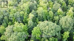 LOT B CHIPPAWA ROAD | Madawaska Valley Ontario | Slide Image Two