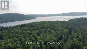 LOT B CHIPPAWA ROAD | Madawaska Valley Ontario | Slide Image Three