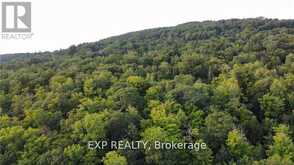 LOT A CHIPPAWA ROAD | Madawaska Valley Ontario | Slide Image Three