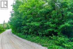 00 MINE VIEW ROAD | Whitewater Region Ontario | Slide Image Two