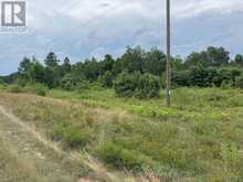 0 BLACK BAY ROAD | Petawawa Ontario | Slide Image Five