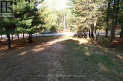 2909 ROUND LAKE ROAD | Killaloe, Hagarty and Richards Ontario | Slide Image Thirteen