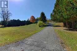 255 FLAT ROAD | Greater Madawaska Ontario | Slide Image Sixteen