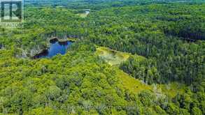 761 GREENS ROAD | Killaloe, Hagarty and Richards Ontario | Slide Image Seventeen