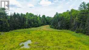 761 GREENS ROAD | Killaloe, Hagarty and Richards Ontario | Slide Image Seven