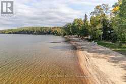 42153B COMBERMERE ROAD S | Madawaska Valley Ontario | Slide Image Ten