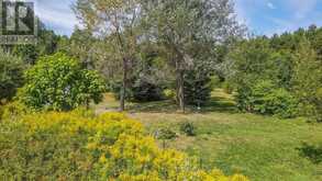 842 CENTREVIEW ROAD | Madawaska Valley Ontario | Slide Image Thirty-six