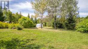 842 CENTREVIEW ROAD | Madawaska Valley Ontario | Slide Image Thirty-seven
