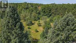 842 CENTREVIEW ROAD | Madawaska Valley Ontario | Slide Image Thirty-eight