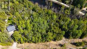 0 RED ASH TRAIL | Whitewater Region Ontario | Slide Image Seven