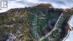 00 RED ASH TRAIL | Whitewater Region Ontario | Slide Image Four