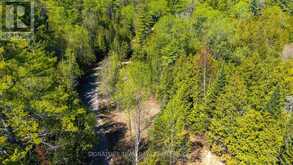 00 RED ASH TRAIL | Whitewater Region Ontario | Slide Image Six