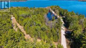 00 RED ASH TRAIL | Whitewater Region Ontario | Slide Image Seven