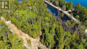 00 RED ASH TRAIL | Whitewater Region Ontario | Slide Image Eight