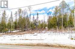 00 RAPID ROAD | Whitewater Region Ontario | Slide Image Eight